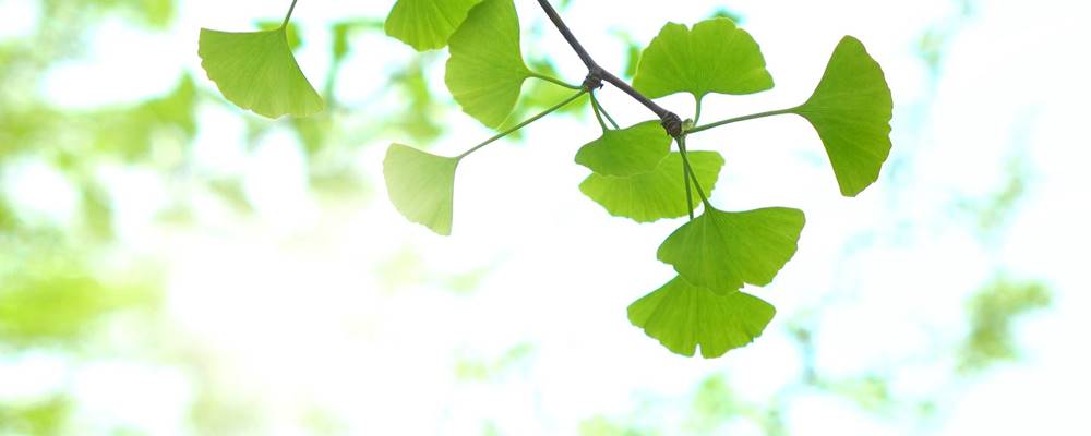 Praxis für Klinische Psychologie