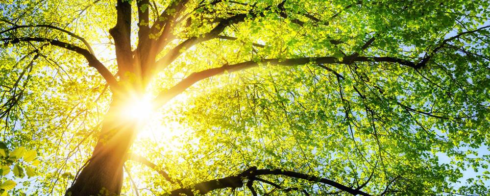 Praxis für Klinische Psychologie